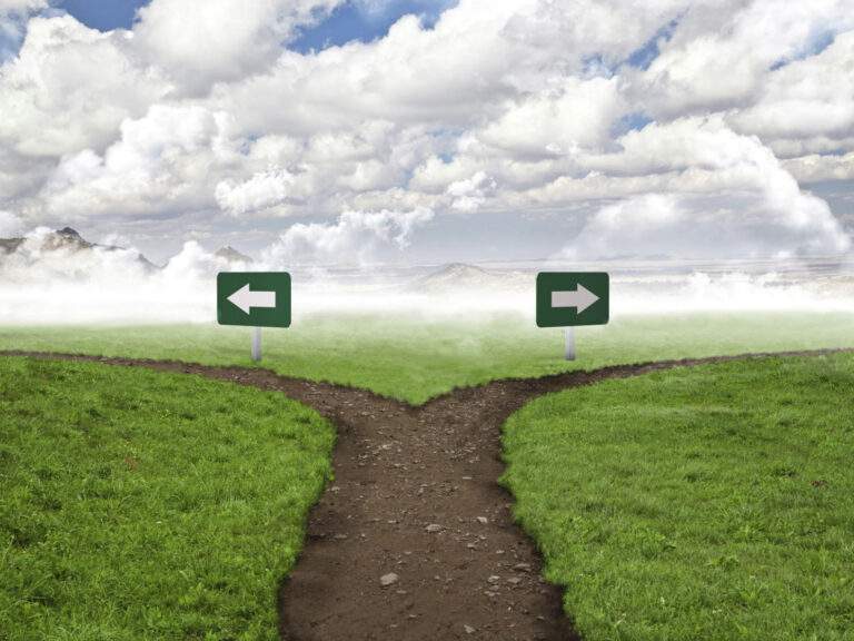 caminho dividido escolha entre carreira e liberdade