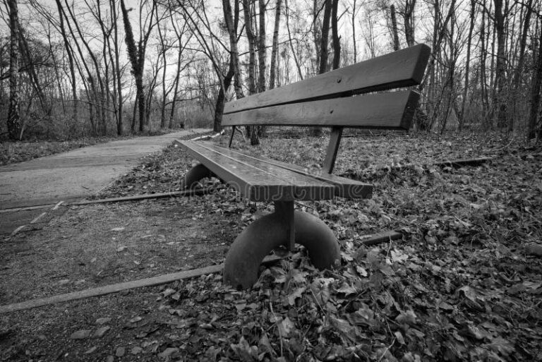 caminho solitario em um parque tranquilo