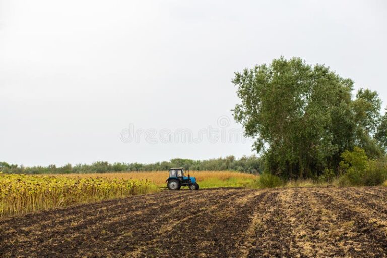 campo com produtor rural e maquinario