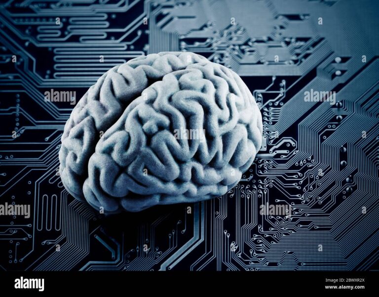 cerebro humano e circuito de computador