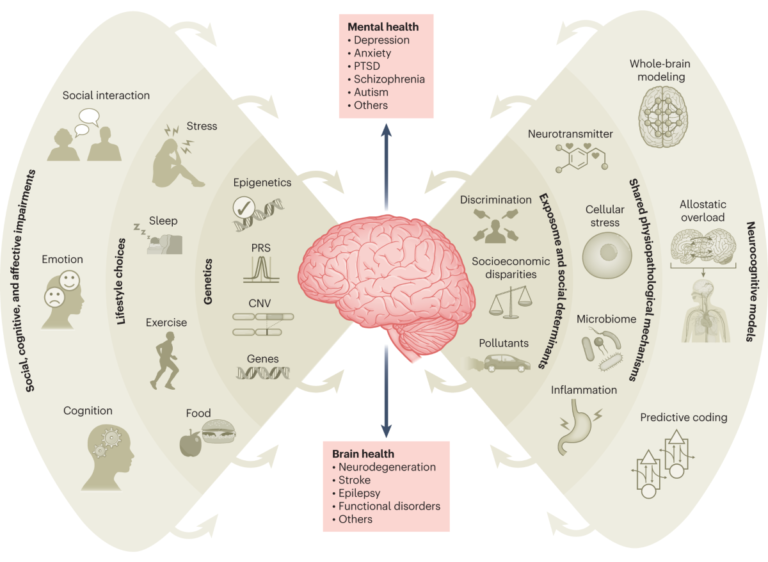 cerebro ilustrado com elementos de saude mental