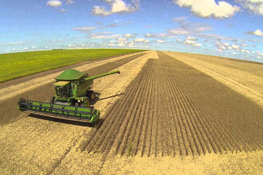 Como Está o Agronegócio no Brasil na Atualidade e Seus Desafios