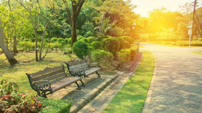 A Folga do Domingo Pode Substituir a Folga da Semana Entenda! 12 domingo relaxante em um parque tranquilo