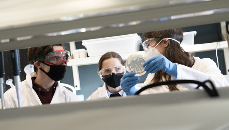 laboratorio com profissionais em acao