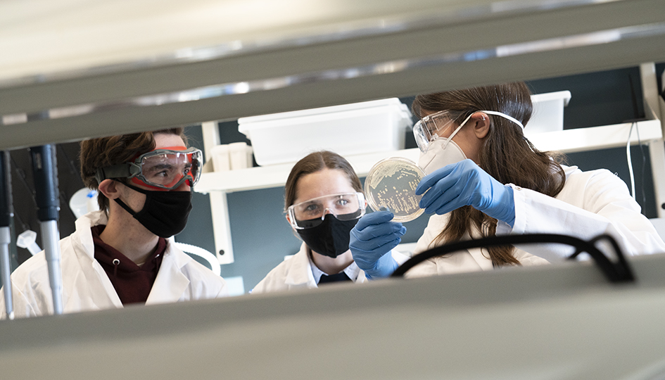 Que curso fazer para trabalhar em laboratório e quais as opções disponíveis