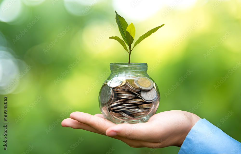 maos segurando moedas em um fundo verde