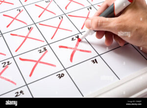 maos segurando um calendario com meses