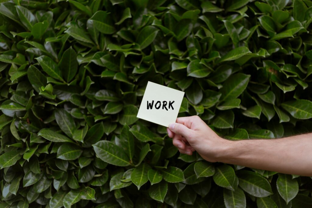 Tem Como Receber o Seguro-desemprego Após Assinar a Carteira de Trabalho