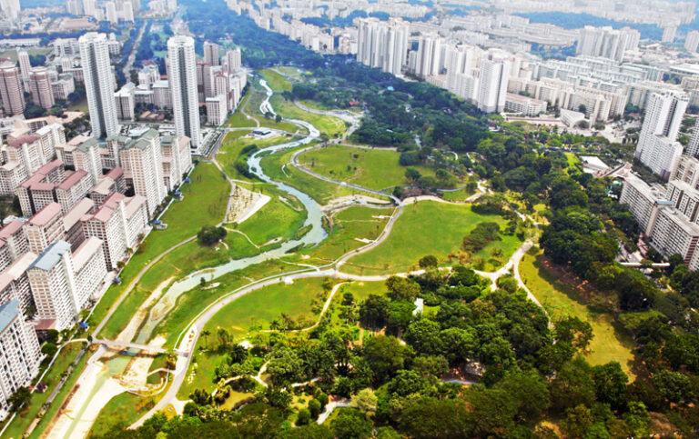 planta crescendo em ambiente urbano sustentavel