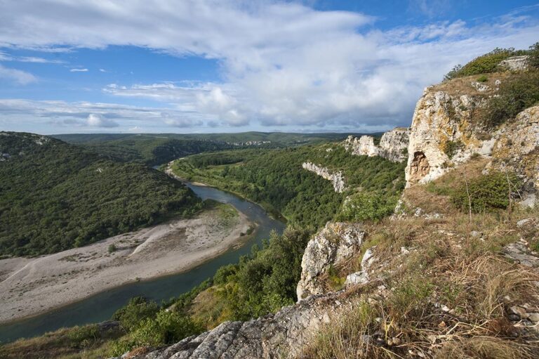 representante da natura em acao no campo