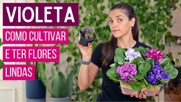 um relogio com flores murchando ao lado
